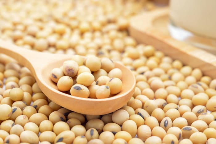 kacang kedelai mengobati kanker payudara
