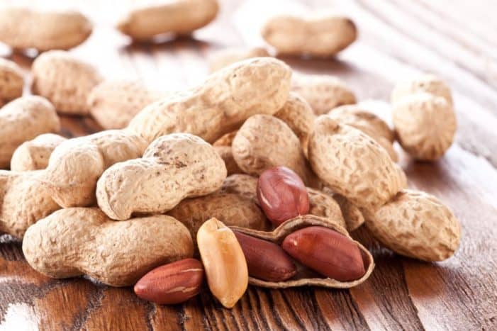 kacang tanah