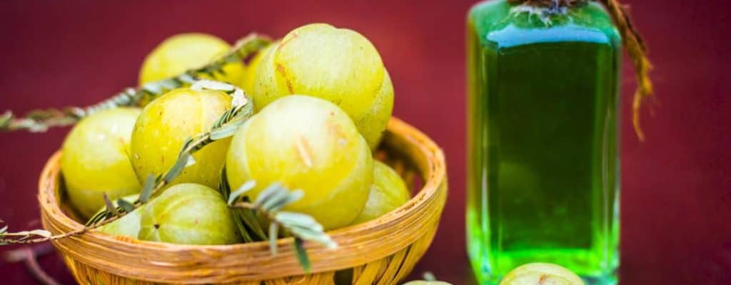 Segudang Khasiat Minyak Amla dari Menguatkan Akar Rambut Hingga Meredakan Sembelit
