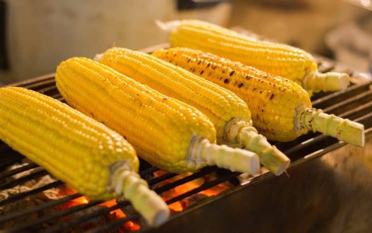 manfaat jagung
