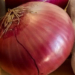 Cara yang Benar Menyimpan Bawang di Rumah Agar Tak Cepat Busuk