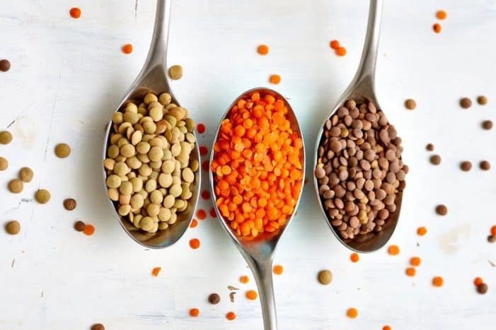 lentil