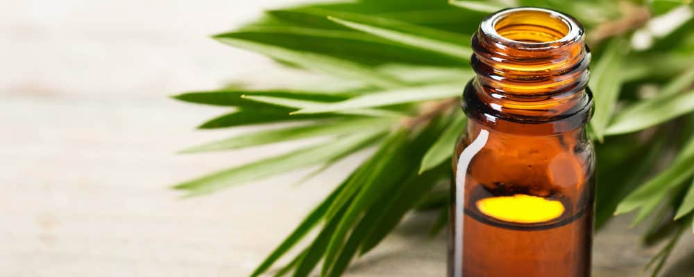 Mengobati Eksim Dengan Tea Tree Oil, Apakah Ampuh?