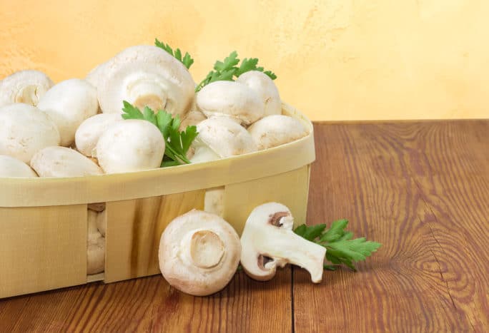 manfaat jamur dan risikonya bagi kesehatan