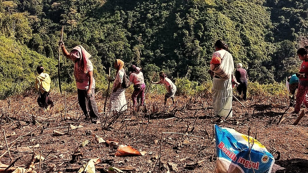 Jaga Produksi, Kementan Siapkan Antisipasi Hadapi Kekeringan