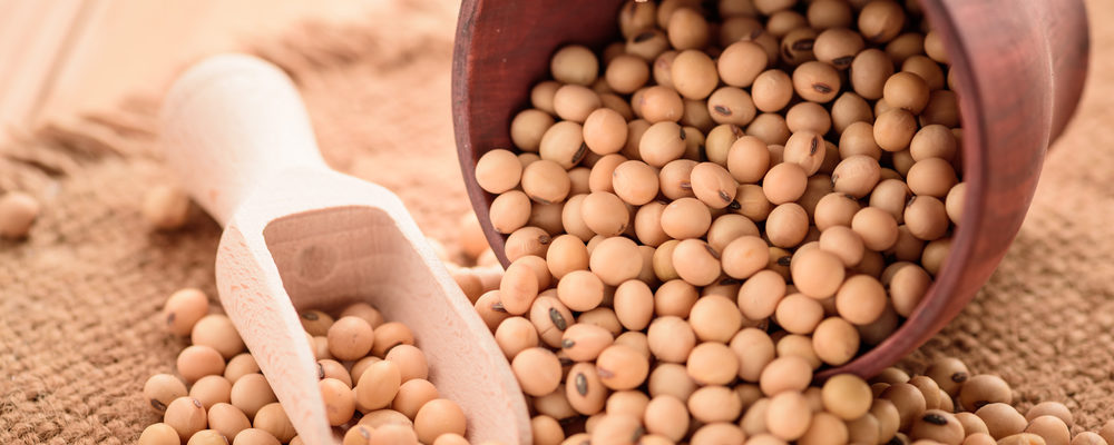 10 Fakta Sehat Tentang Kacang Kedelai