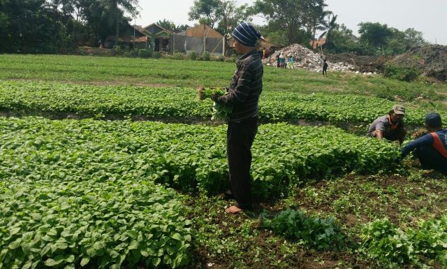 Ganti Rugi Lahan Pembangunan Runway 3, Tingkatkan Kesejahteraan Warga 