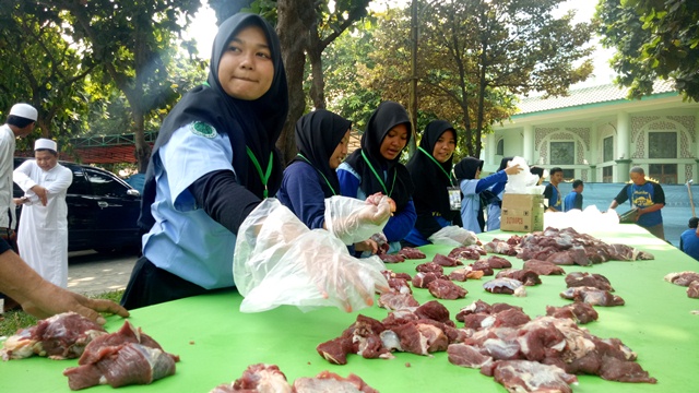 Gerakan Menabung Kurban Terkumpul 35 Ekor Sapi