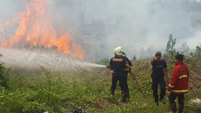 Kemarau, Terjadi Peningkatan Kebakaran