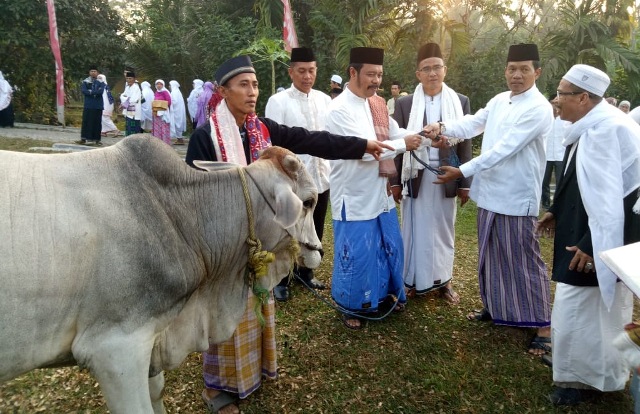 Pemkab Sumbangkan 30 Hewan Kurban