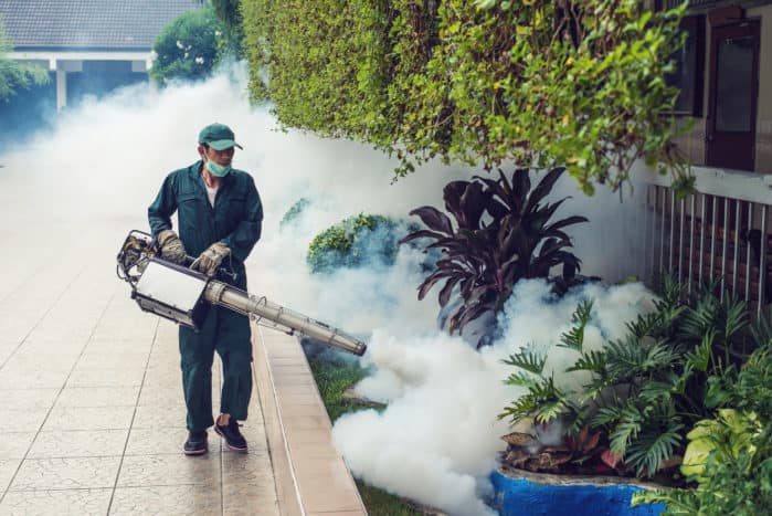 gas fogging nyamuk DBD
