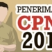 Penerimaan Mulai Rabu, Inilah 9 Syarat Dasar Yang Harus Dipenuhi Pelamar CPNS 2018