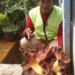 Bunga Bangkai Tumbuh di Halaman Kantor Kecamatan