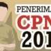 Sigi, Palu, dan Donggala Termasuk Daerah Sepi Peminat, Jumlah Pelamar CPNS Capai 3,39 Juta