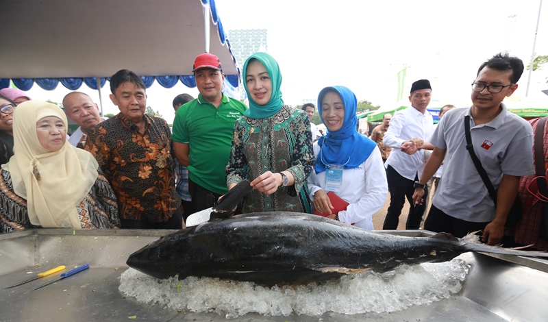 Kampanye Gemarikan, DKP3 Bakal Bakar Ikan Masal di Sunburst
