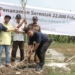 PLN UIP JBB Tanam Pohon Trembesi
