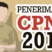 Usul Penetapan NIP CPNS 2018 Paling Lambat Masuk ke BKN 28 Februari 2019