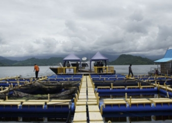 Dinas Perikanan Berupaya Tingkatkan Produksi Ikan Budi Daya