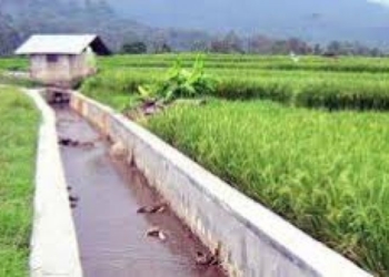 Petani Pesisir Tangerang Kesulitan Air Saluran Irigasi