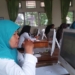 1 Maret Pengumuman Kelulusan P3K