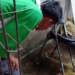 Dinkes Tangerang Verifikasi Penderita DBD 134 Pasien