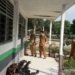 Pemkab Tangerang fokus 70 sekolah program GSM