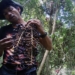 Petani Riau tanam Jernang sekaligus lestarikan hutan