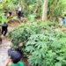 Pemdes Kramatlaban Support Konsep Gunungbuntung