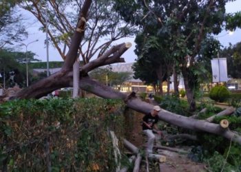 Angin Kencang Tumbangkan Pohon Besar Di Mal Bintaro Xchange