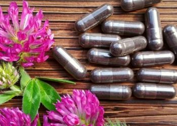 Obat Herbal untuk Bantu Mengatasi Gejala Osteoporosis