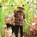 Kayu Bongkok Dijadikan Desa Wisata Kuliner di Kabupaten Tangerang