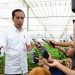 Presiden Dorong Upaya Pencegahan untuk Tangani Karhutla