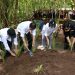 Presiden dan Ibu Negara Tanam Pohon Bersama Masyarakat di Desa Jatisari