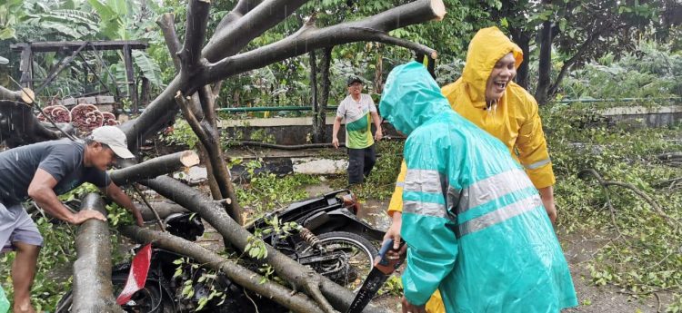 Warga evakuasi sepeda motor yang tertimpa pohon. (PHD)