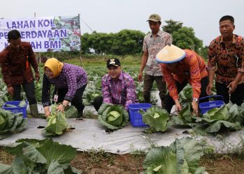 Bupati Zaki Panen Kol dan Oyong di Kronjo