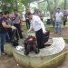 Jasad Bayi Laki-laki Terbungkus Kain Hitam Ditemukan Di Taman Bintaro