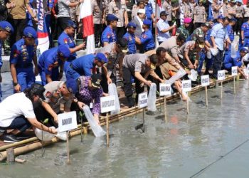 Pulihkan Ekosistem Pesisir Pantai, Tanam Bibit Mangrove dan Sebar Benih Ikan