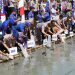 Pulihkan Ekosistem Pesisir Pantai, Tanam Bibit Mangrove dan Sebar Benih Ikan