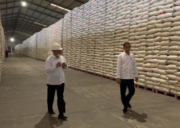 Mendadak, Presiden Tinjau Gudang Bulog Cek Ketersediaan Pangan