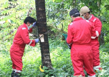 Setelah Tanah, Batan Clean Up Tumbuhan