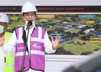 Pentingnya Kerja Sama Pemerintah Pusat dan Daerah dalam Penanganan Covid-19