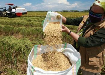Lumbung Pangan Komunitas, Kearifan Lokal Ketahanan Pangan