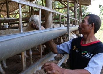 Sebarkan Kebaikan, ACT Ajak Masyarakat Jadi Agen Global Qurban