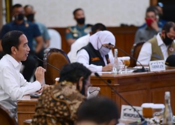 Presiden: Butuh Sinergi Erat untuk Tangani Covid-19