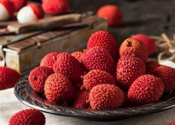 7 Makanan Sehari-hari yang Ternyata Sebenarnya Mengandung Racun