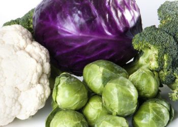 5 Jenis Makanan yang Bikin Kita Sering Kentut