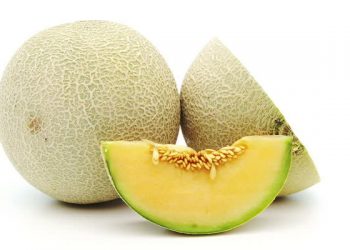 5 Manfaat Buah Melon yang Menyehatkan Tubuh