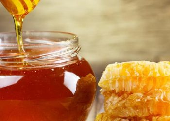 Minum Madu Setelah Minum Obat, Boleh atau Tidak?