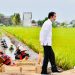 Presiden Jokowi Tinjau Program Padat Karya Tunai di Kabupaten Pulang Pisau