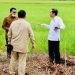 Presiden Tinjau Jaringan Reklamasi Rawa di Pulang Pisau